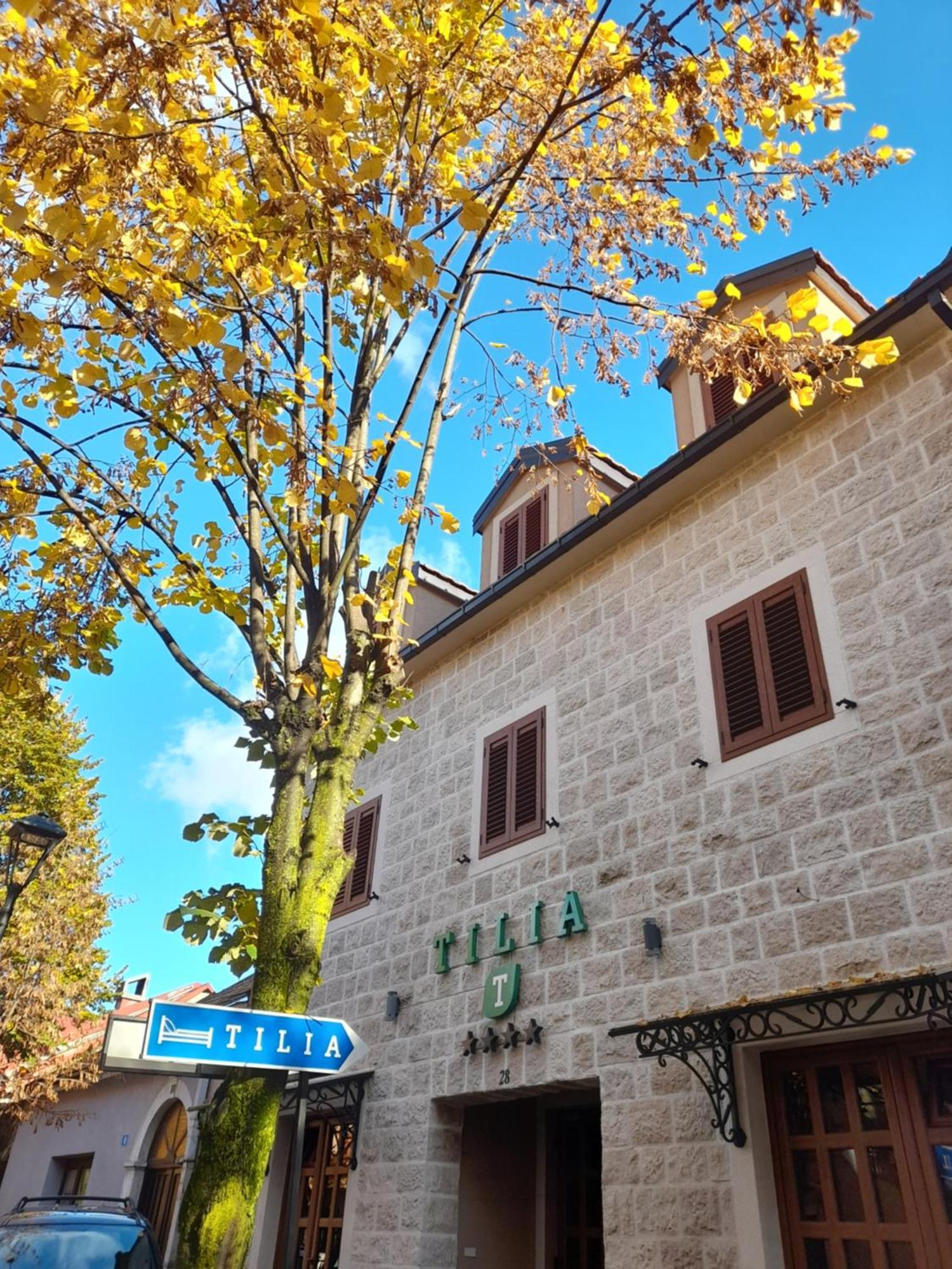Hotel Tilia Cetinje Exteriér fotografie
